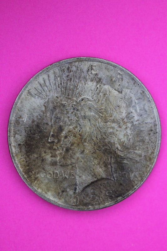 1923 P Liberty Peace Silver Dollar Philadelphia Coin Nice Toning 19