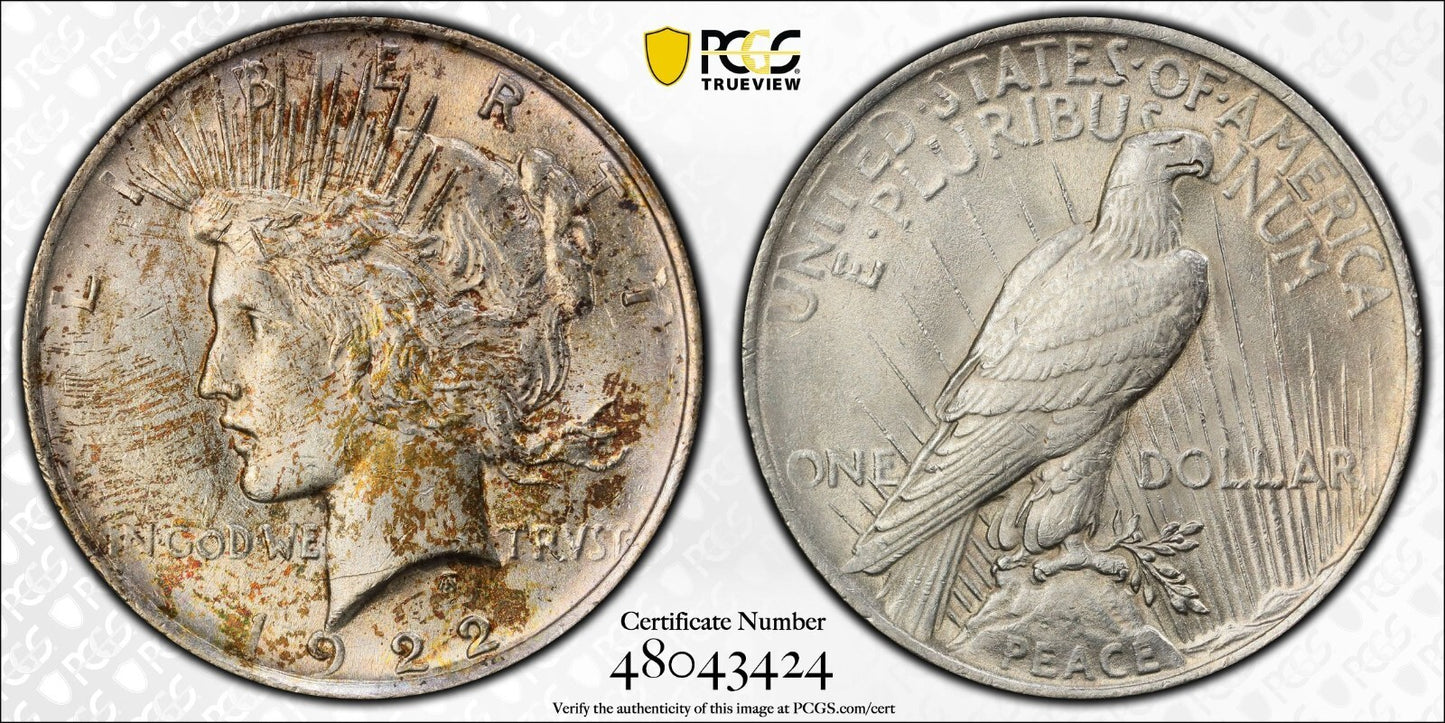 Golden Toned 1922 P MS 62 Peace Silver Dollar PCGS Graded Trueview Slab 1421
