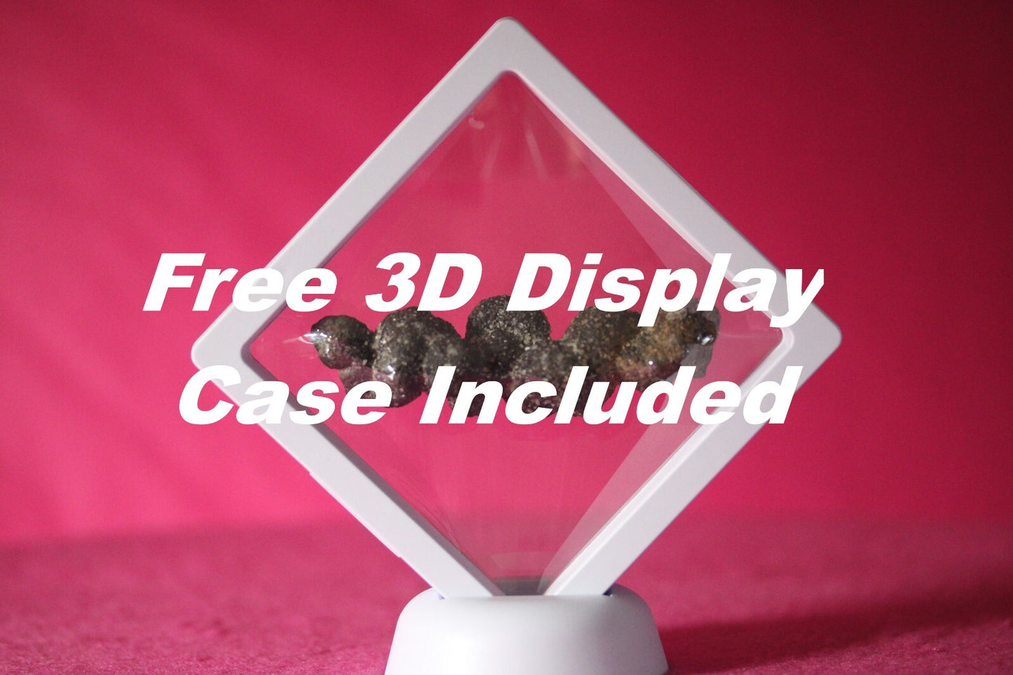 Giant Lizard Poop 5 Million Years Old Genuine Real Fossil Dinosaur Girl COA S11