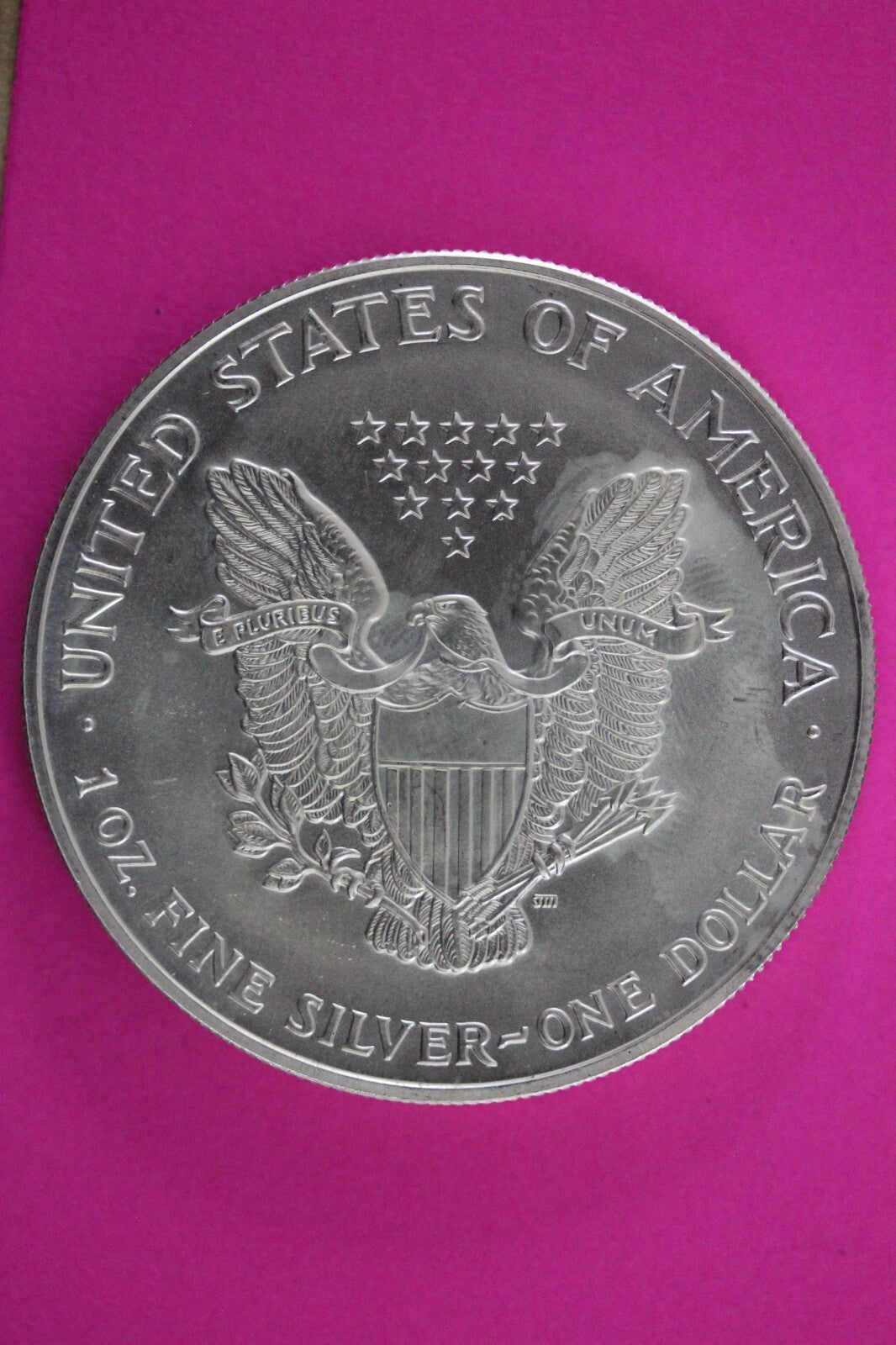 Colorized 1999 American Silver Eagle 1 Ounce .999 Fine Exact Coin Shown N0521