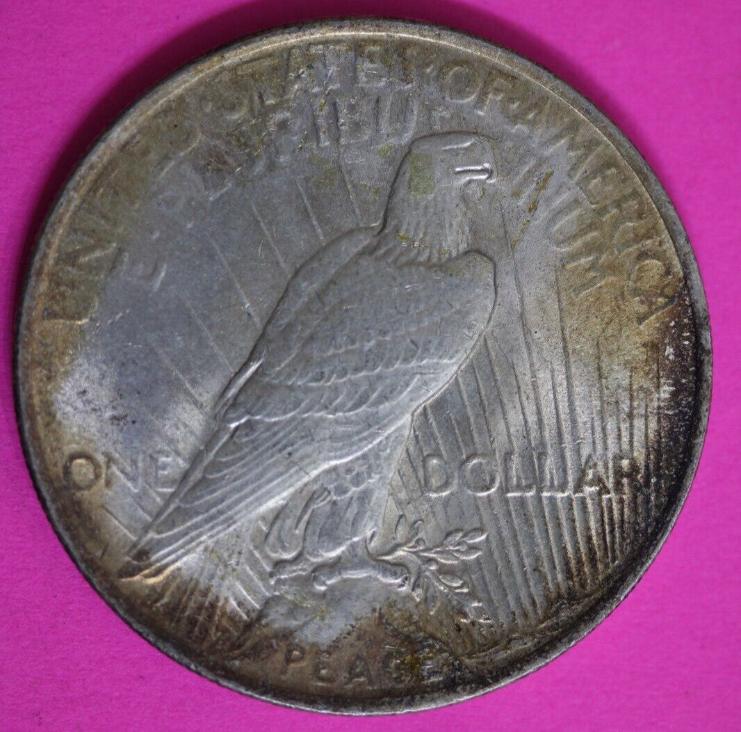Toned High Grade 1923 P Liberty Peace Silver Dollar Exact Coin In Pics 29