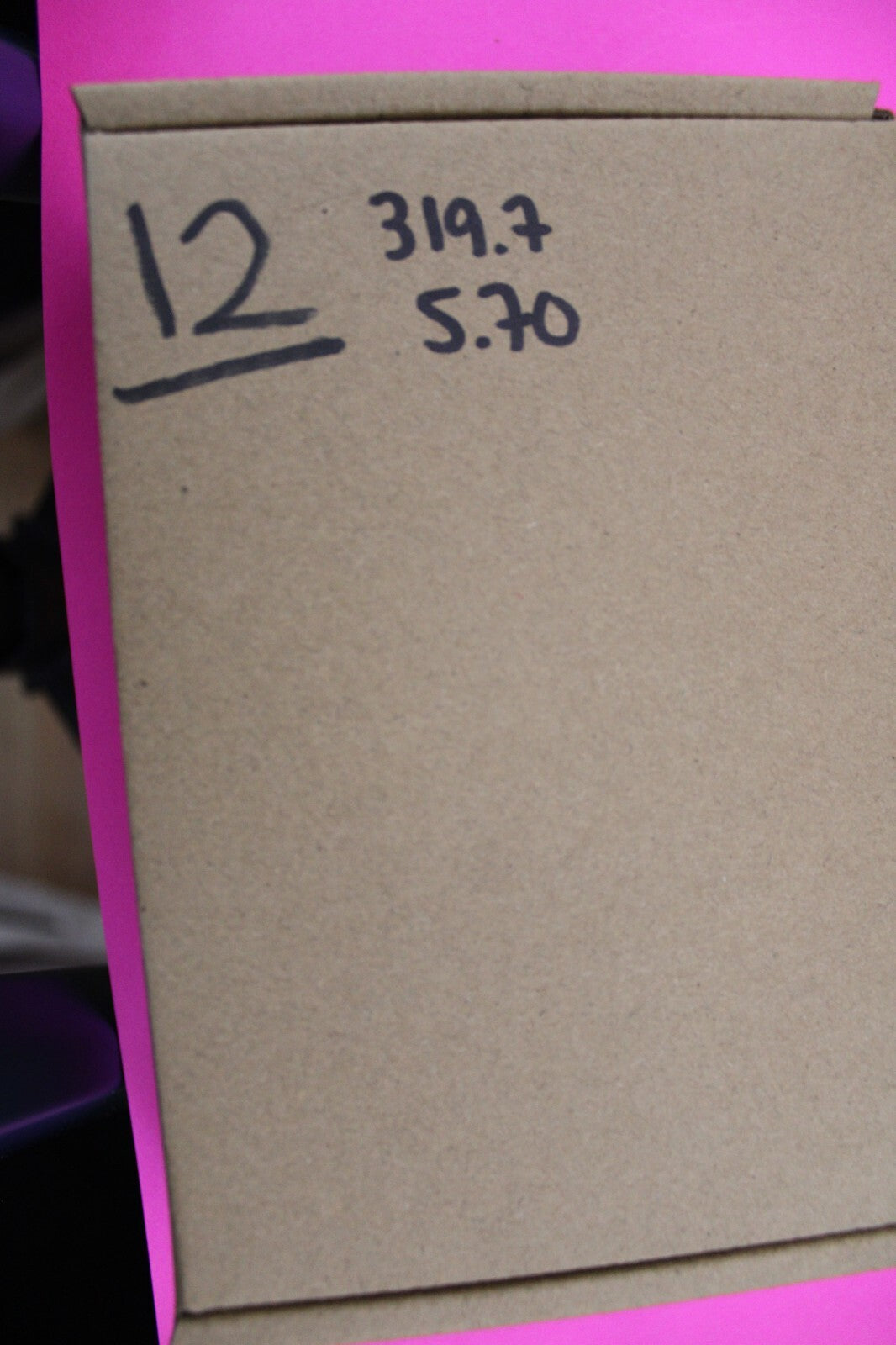 Authentic Megalodon Shark Tooth 5.7 Inch 319 Grams Fossil Dinosaur Girl COA M12