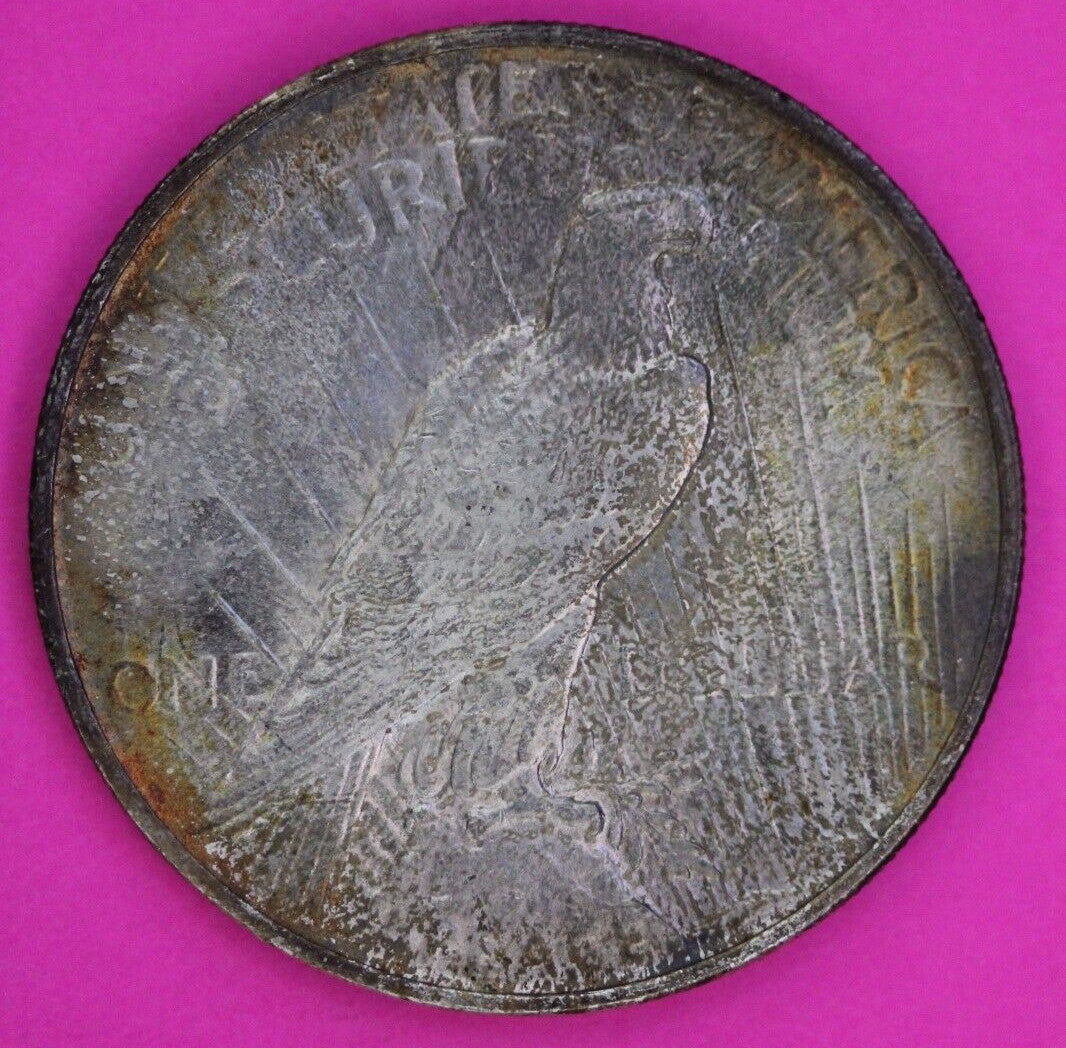 Toned High Grade 1924 P Liberty Peace Silver Dollar Philadelphia Mint Coin 235
