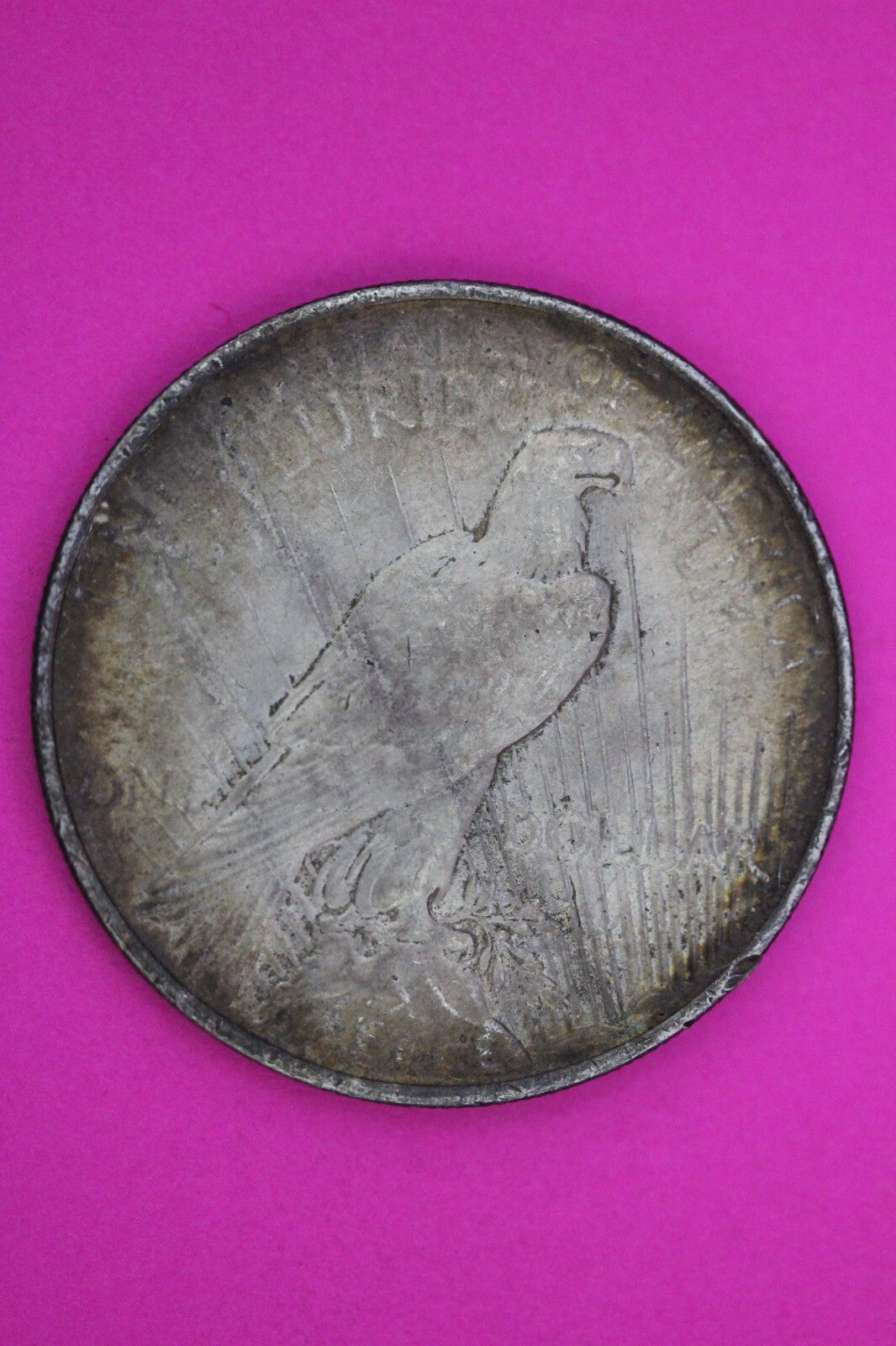 Toned High Grade 1923 P Liberty Peace Silver Dollar Philadelphia Mint Coin 103