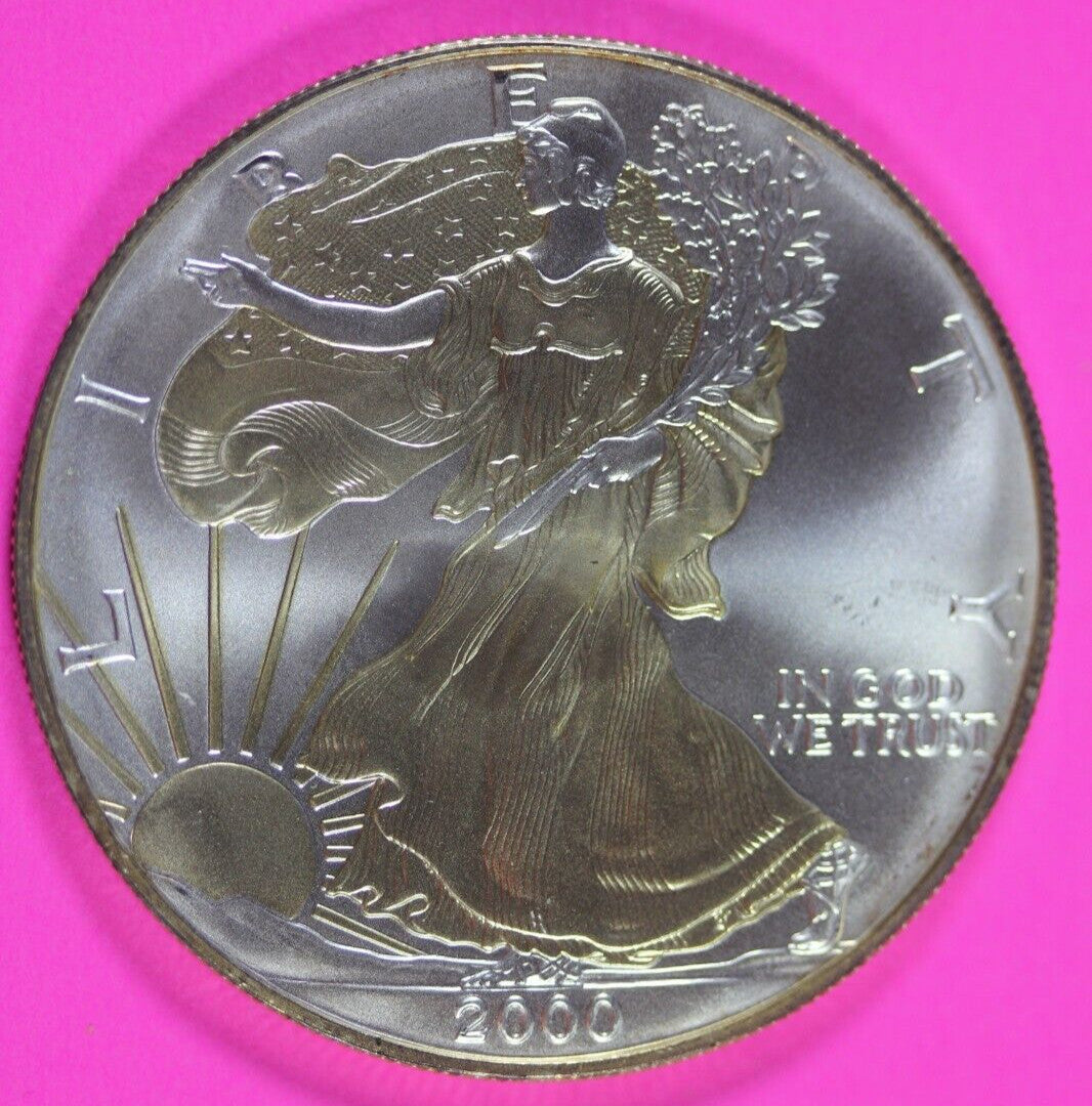 Colorized 2000 American Silver Eagle 1 Ounce .999 Fine Exact Coin Shown 151