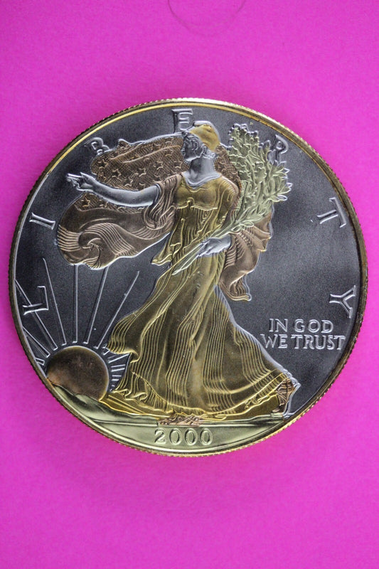Colorized 2000 American Silver Eagle 1 Ounce .999 Fine Exact Coin Shown N0488