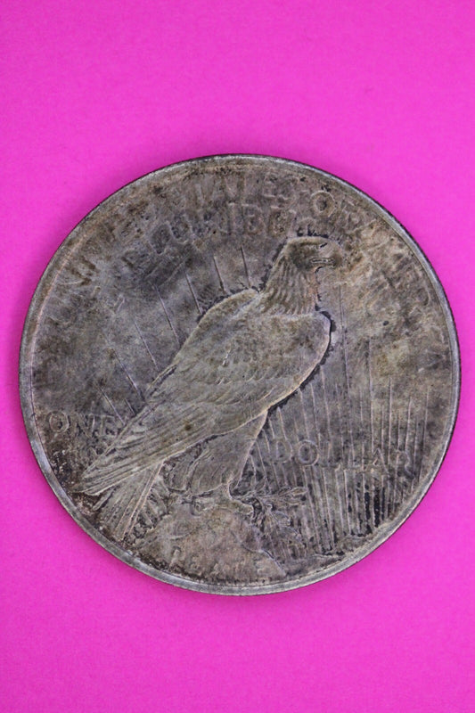 Toned High Grade 1922 P Liberty Peace Silver Dollar Philadelphia Mint Coin 240