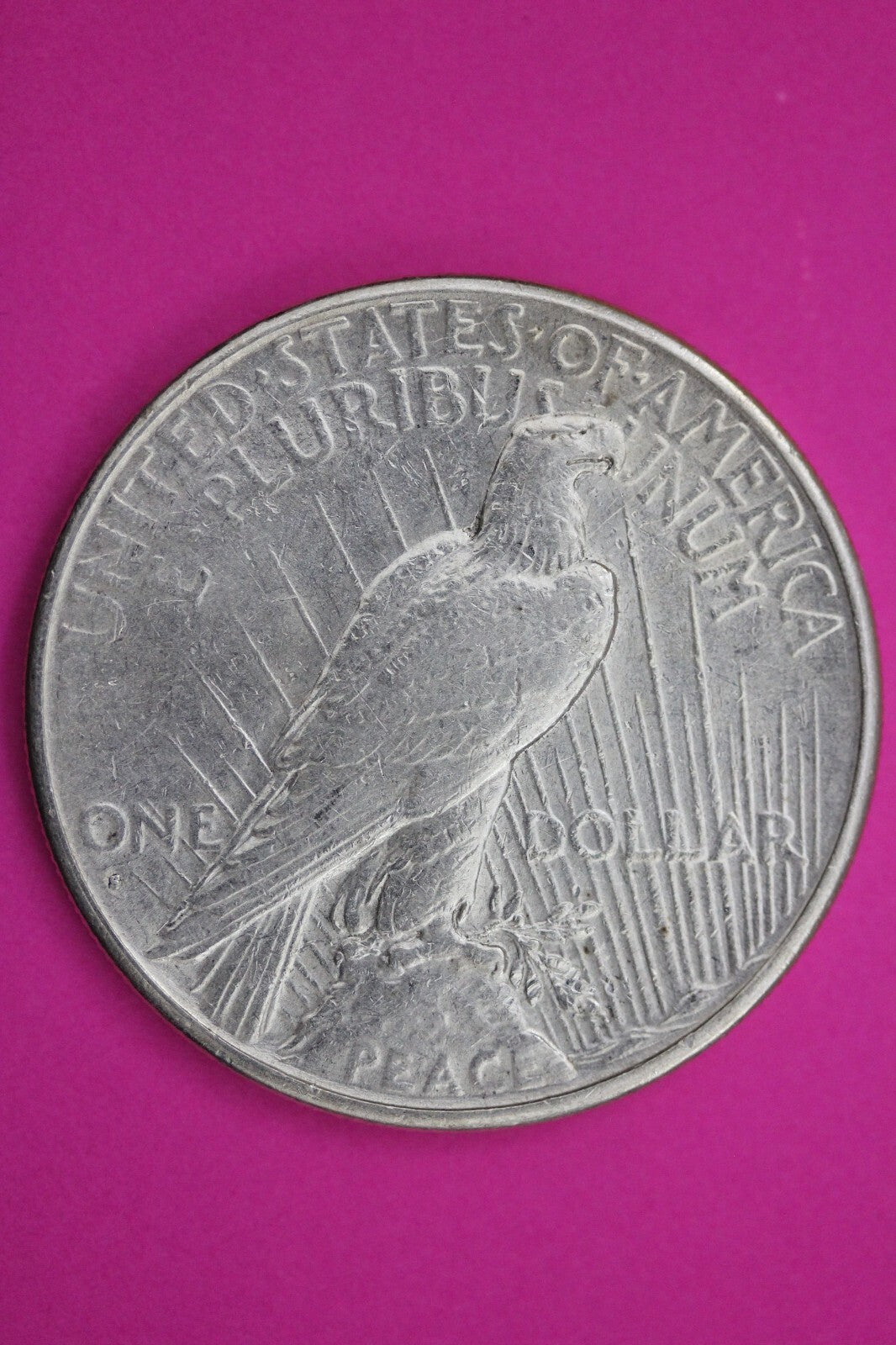 High Grade 1926 S Liberty Peace Silver Dollar San Francisco Mint Nice Luster 84