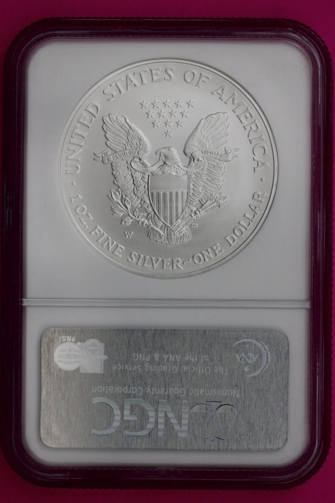 2007 W Chipped Slab MS 69 Silver Eagle Coin 1 OZ .999 NGC Graded Authentic 524