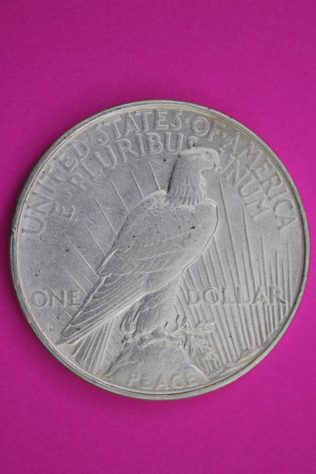 1923 D Peace Silver Dollar LIberty Coin Guaranteed Genuine American Seller 2025