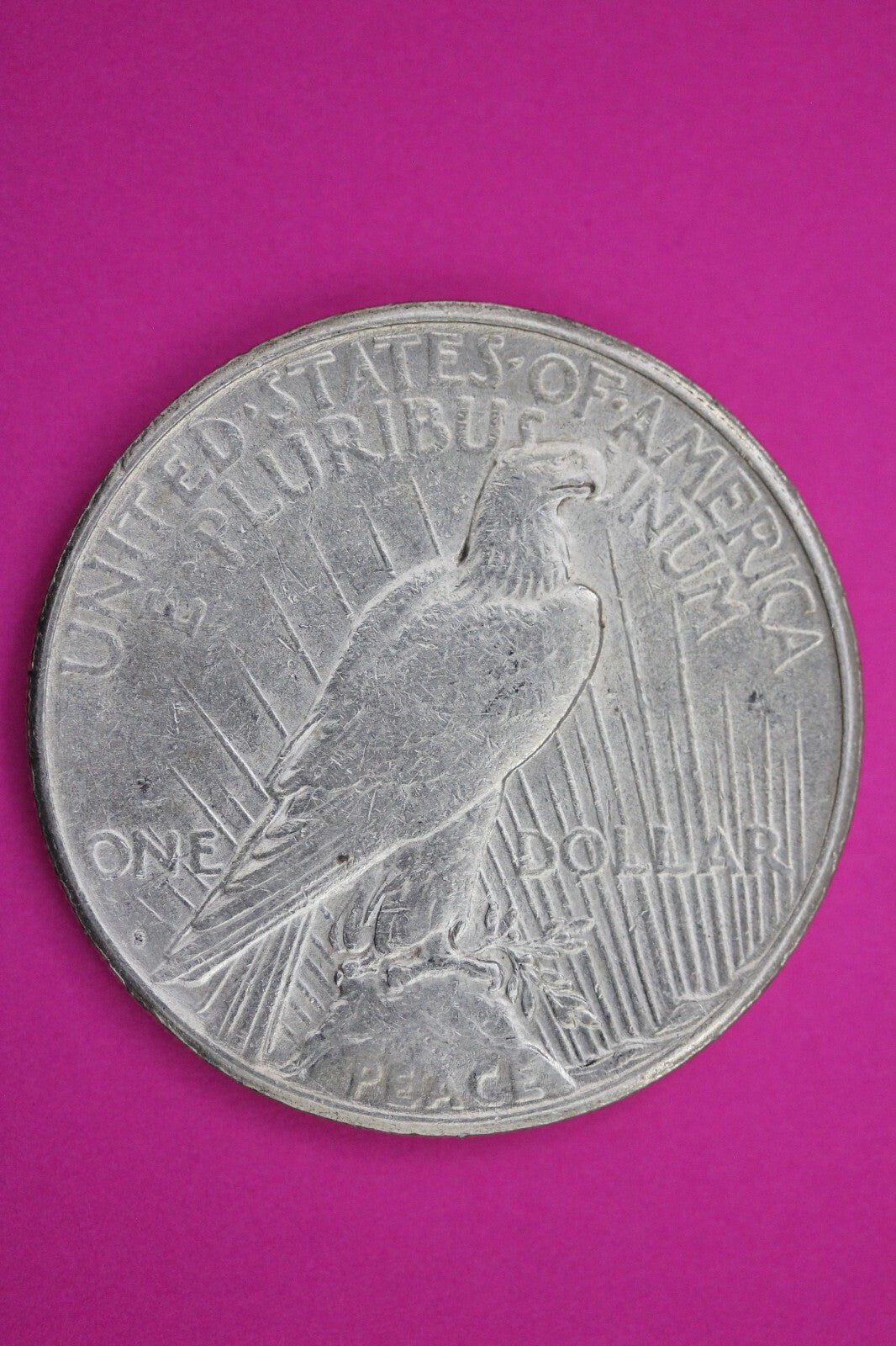 High Grade 1925 S Liberty Peace Silver Dollar San Francisco Mint Nice Luster 202