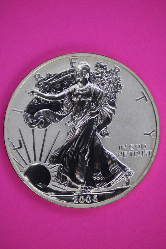 Gem 2006 P Reverse Proof Deep Cameo Silver Eagle Guaranteed Authentic Coin 3115