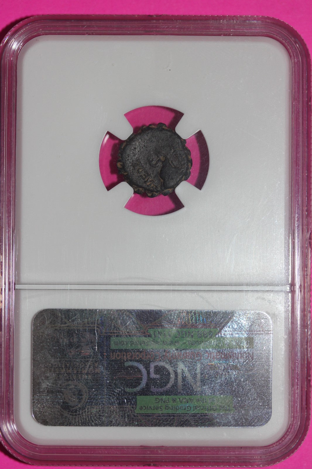 F Seleucid Kingdom Demetrius I 162-150 BC AE14 Serrate Horse Elephant NGC 93