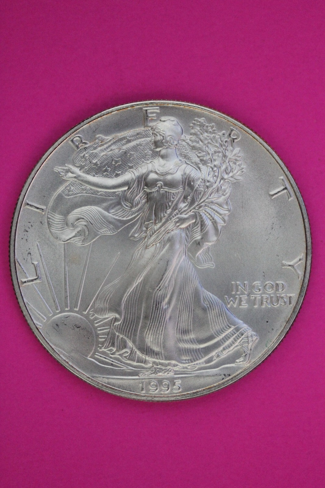 Key Date 1995 BU American Silver Eagle Key Date 1 Ounce 999 Exact Coin Shown 67