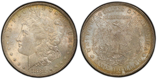 Toned 1881 P MS 64 Morgan Liberty Silver Dollar PCGS Certified Graded Slab 194