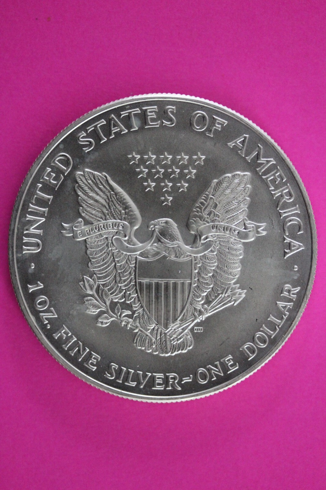 Colorized 1999 American Silver Eagle 1 Ounce .999 Fine Exact Coin Shown N0499