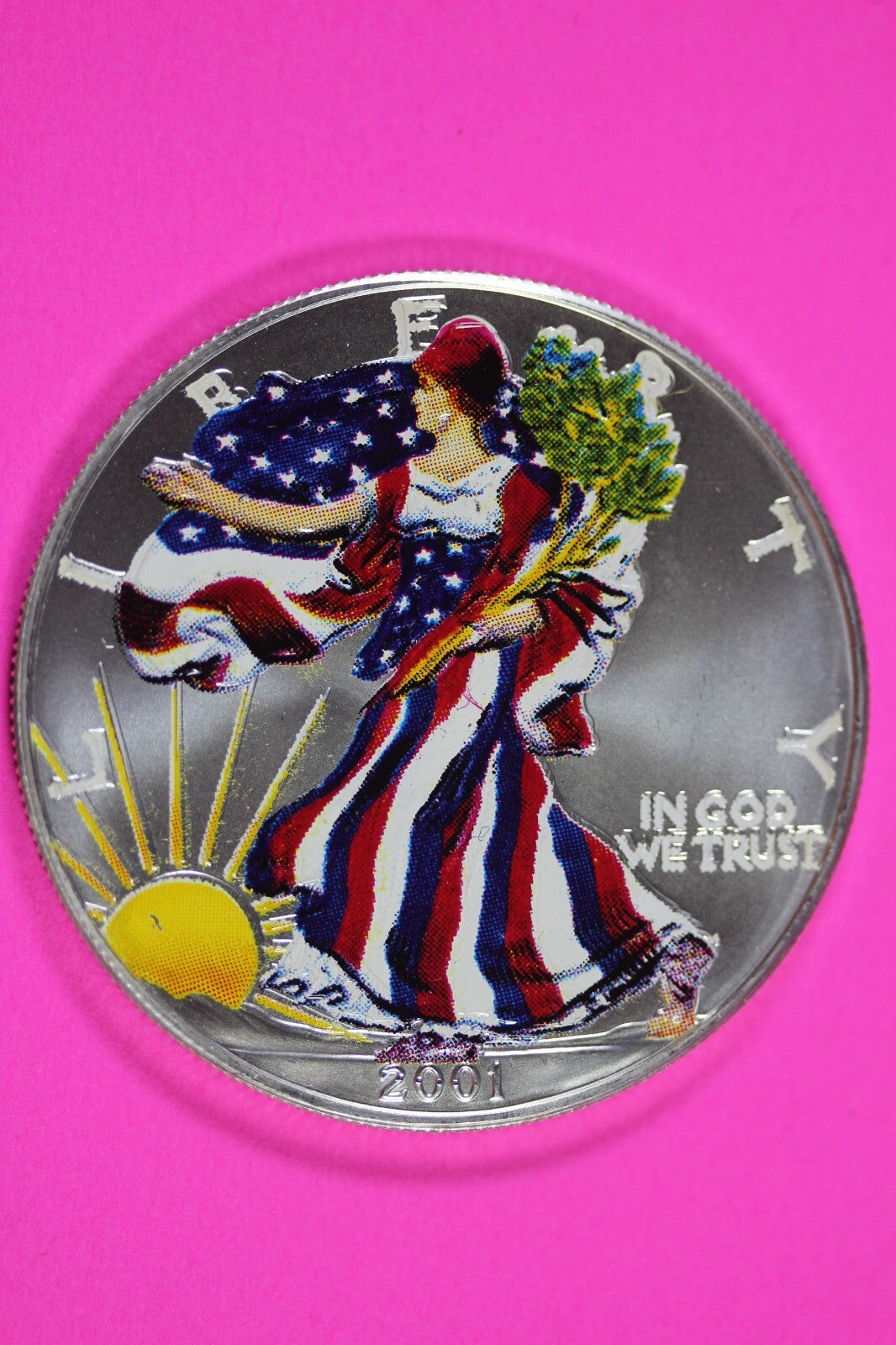 Colorized 2001 American Silver Eagle 1 Ounce .999 Fine Exact Coin Shown 179