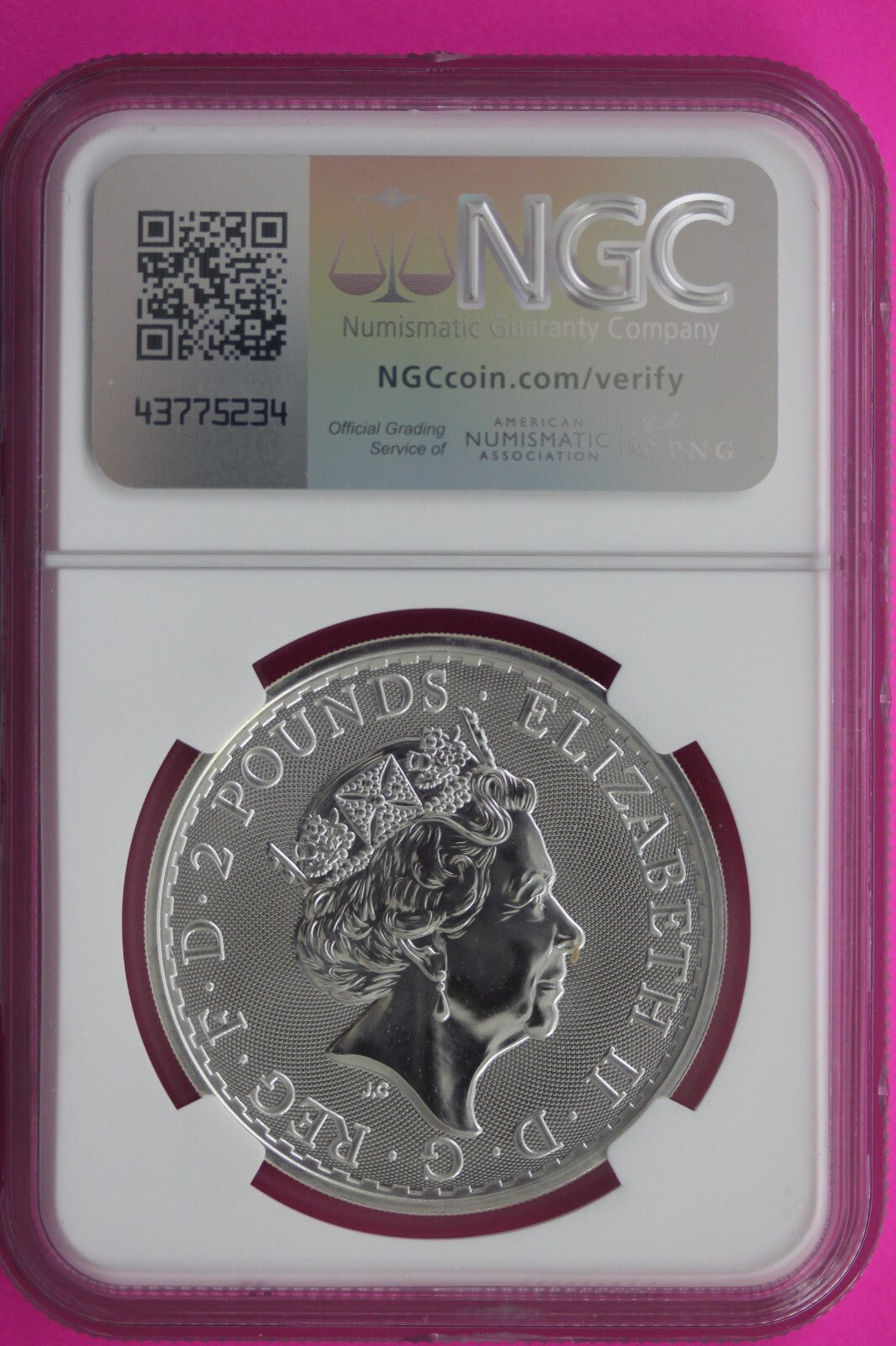 2017 MS 69 Great Britain £2 Britannia 20th Anniversary Privy NGC Graded Slab 729