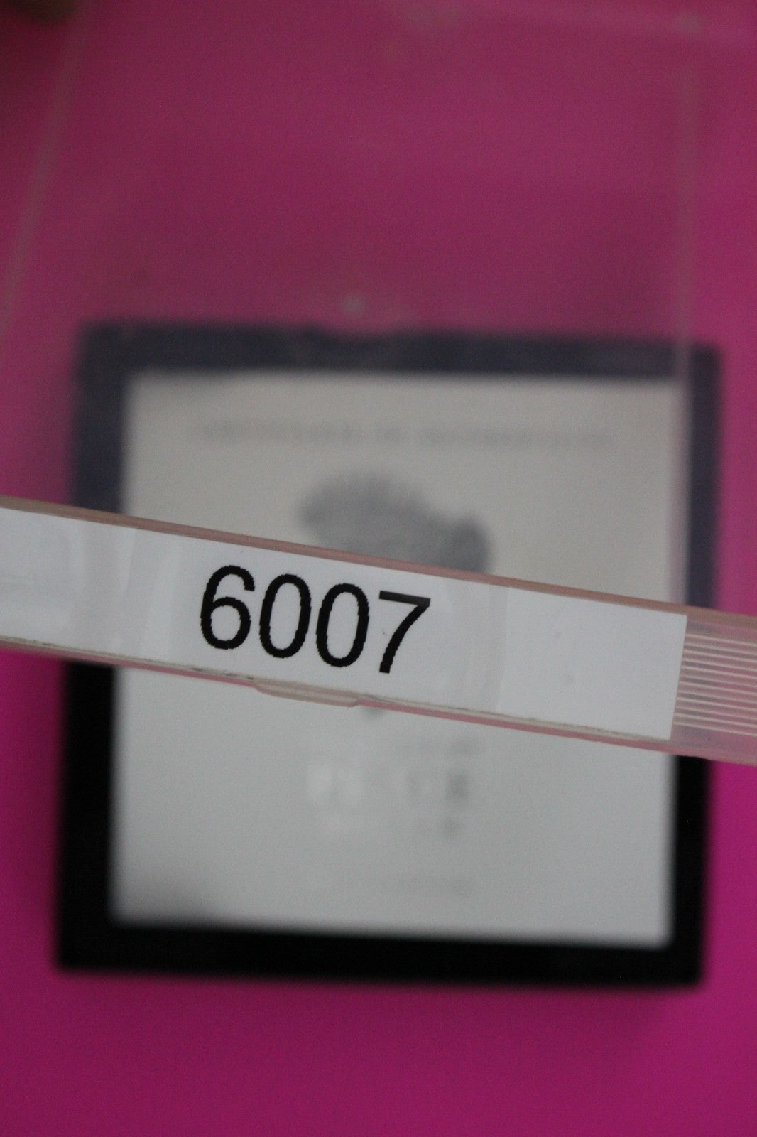 Gem Brilliant Uncirculated 2021 Peace P Silver Dollar 999 Fine Mint Box COA 6007