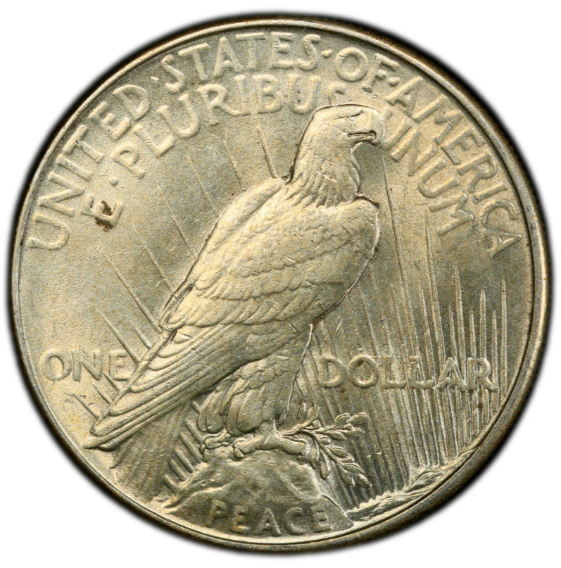 Toned 1934 P AU 58 Peace Silver Dollar PCGS Graded Certified Authentic Slab 365