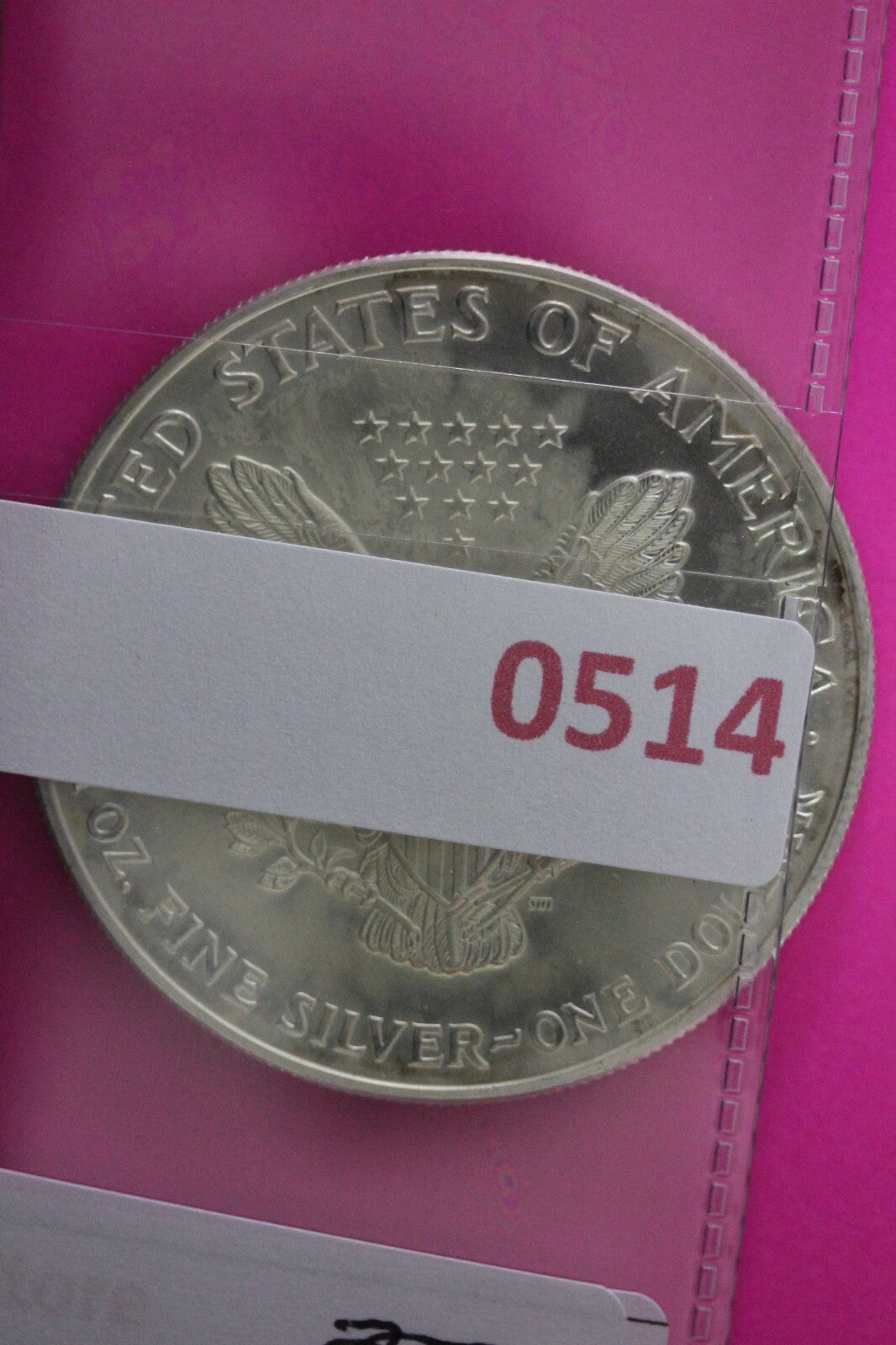 Colorized 2000 American Silver Eagle 1 Ounce .999 Fine Exact Coin Shown N0514