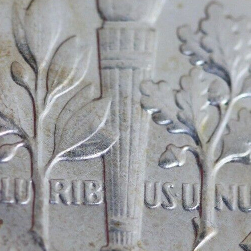 Toned 1955 Silver Proof Roosevelt Dime Exact Coin Shown  41