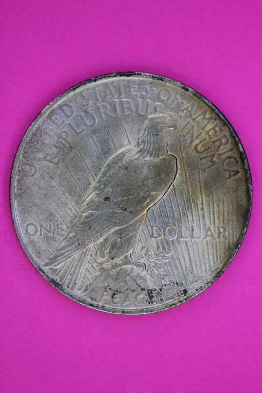 Tone High Grade 1923 P Liberty Peace Silver Dollar Philadelphia Mint Coin 244