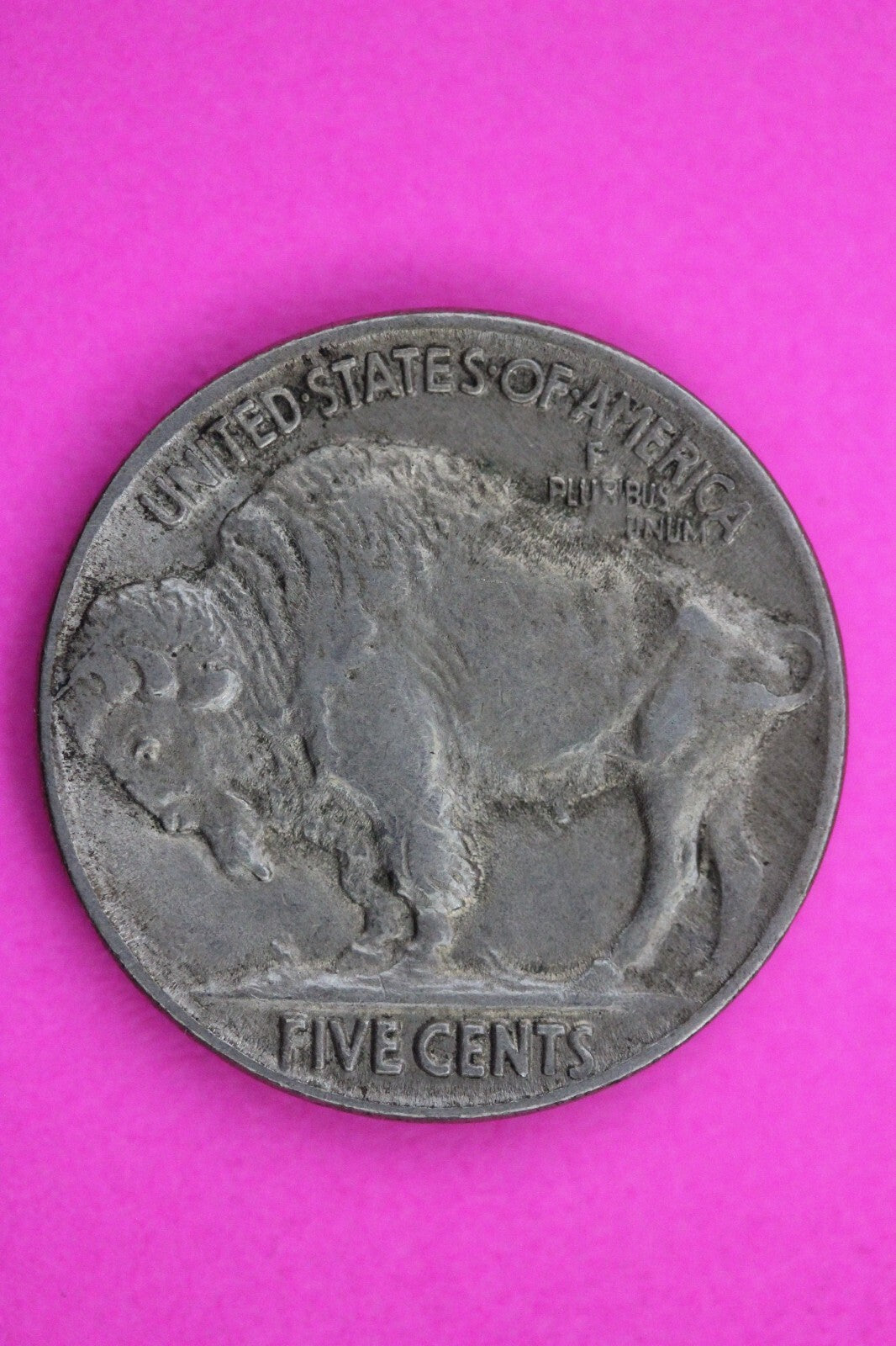 High Grade 1920 P Buffalo Indian Nickel Exact Coin Pictured Philadelphia Mint 16