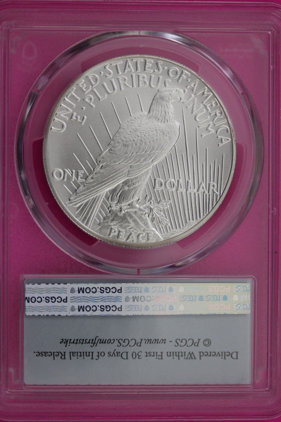 2024 P MS 69 Peace Silver Dollar .999 NGC Graded Certified Authentic Coin 151