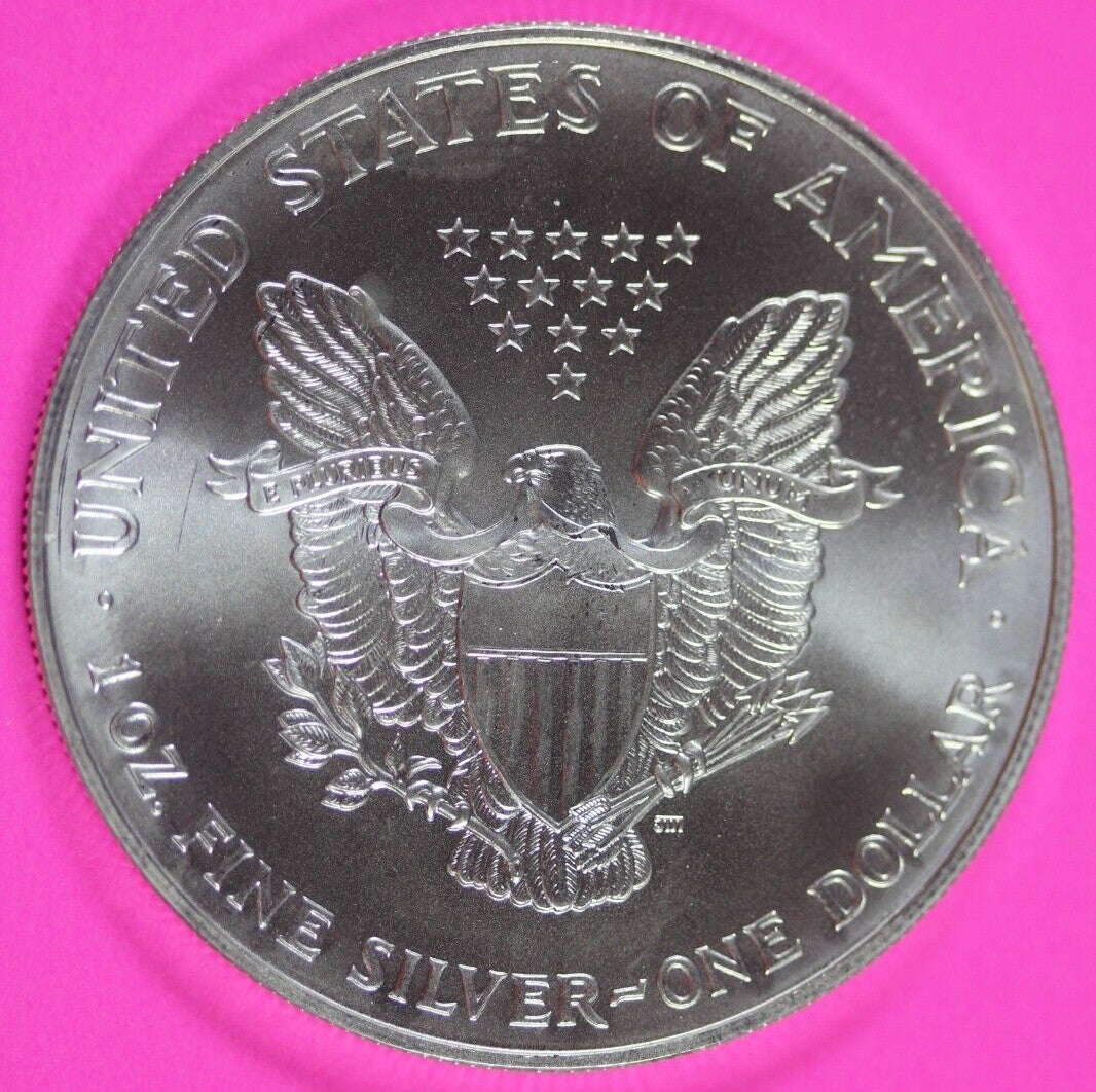 Colorized 1999 American Silver Eagle 1 Ounce .999 Fine Exact Coin Shown 176