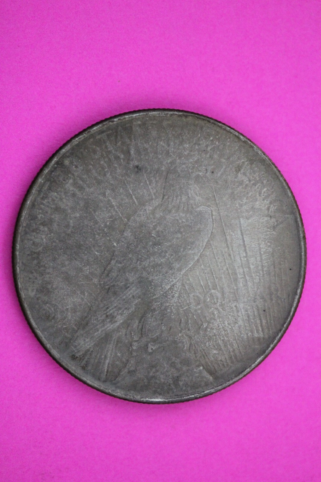 Toned 1924 P Peace Silver Dollar LIberty Coin Guaranteed Authentic 0316N