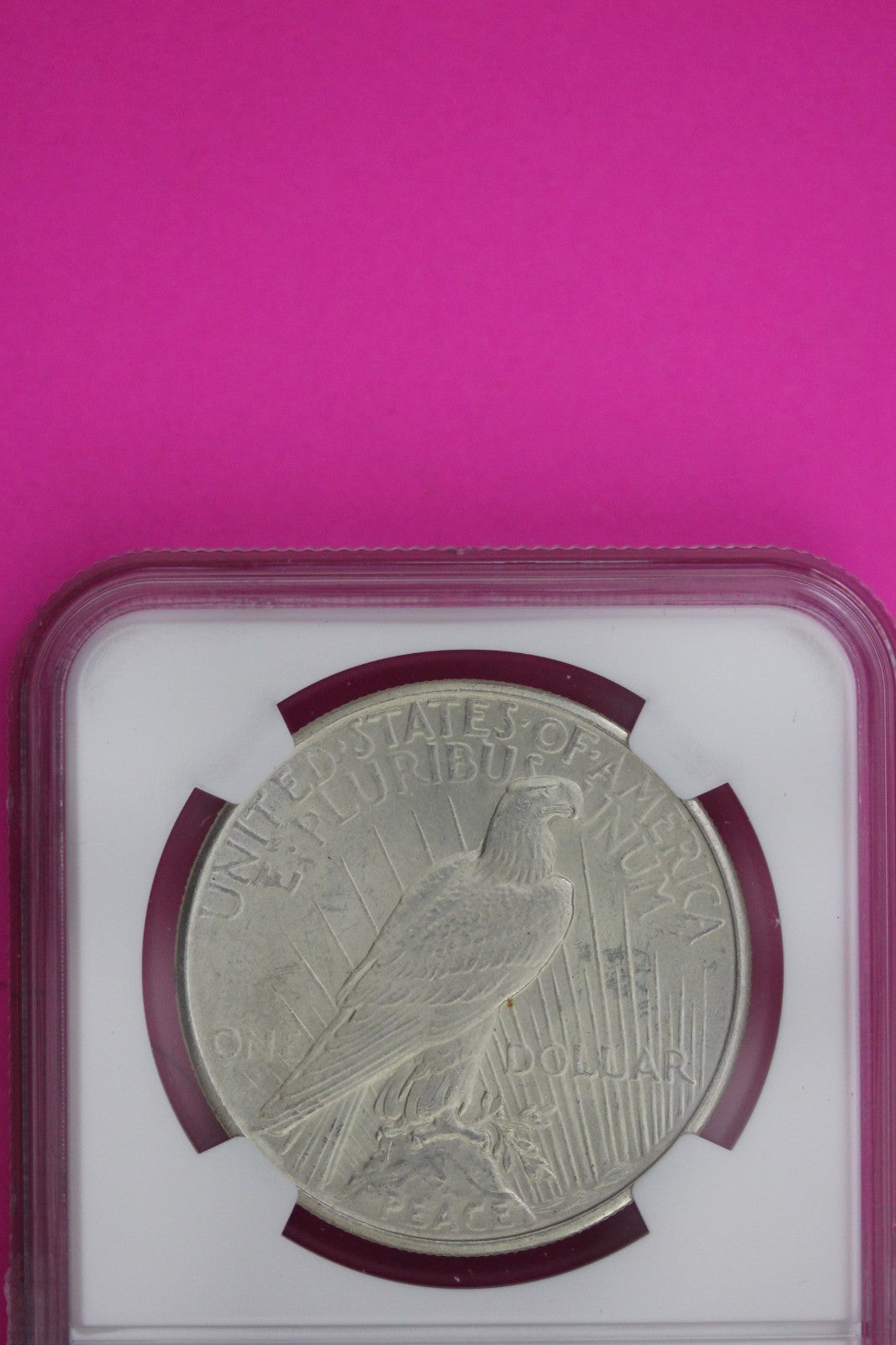 1925 P MS 65 Liberty Peace Silver Dollar NGC Certified Graded Authentic 1123