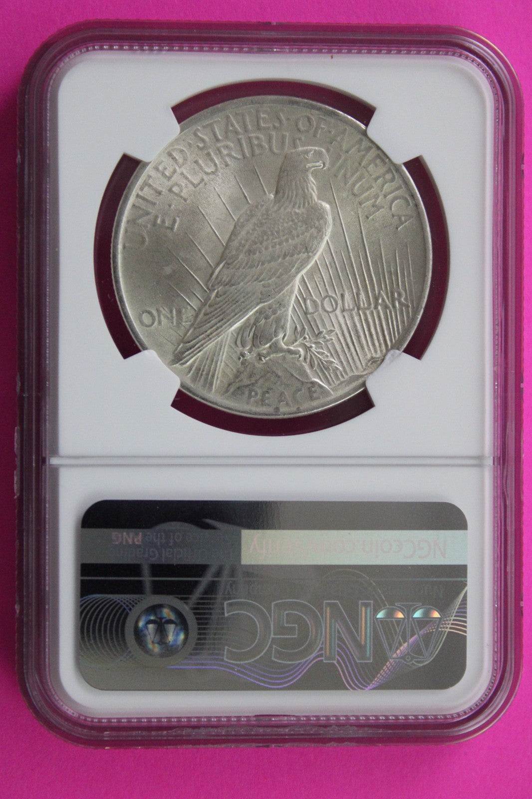 1924 P MS 63 Liberty Peace Silver Dollar NGC Certified Graded Authentic 731