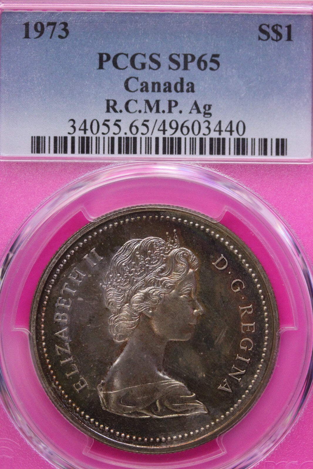 Golden Toned 1973 SP 65 Canada RC Mounted Police Silver Dollar PCGS Graded 743