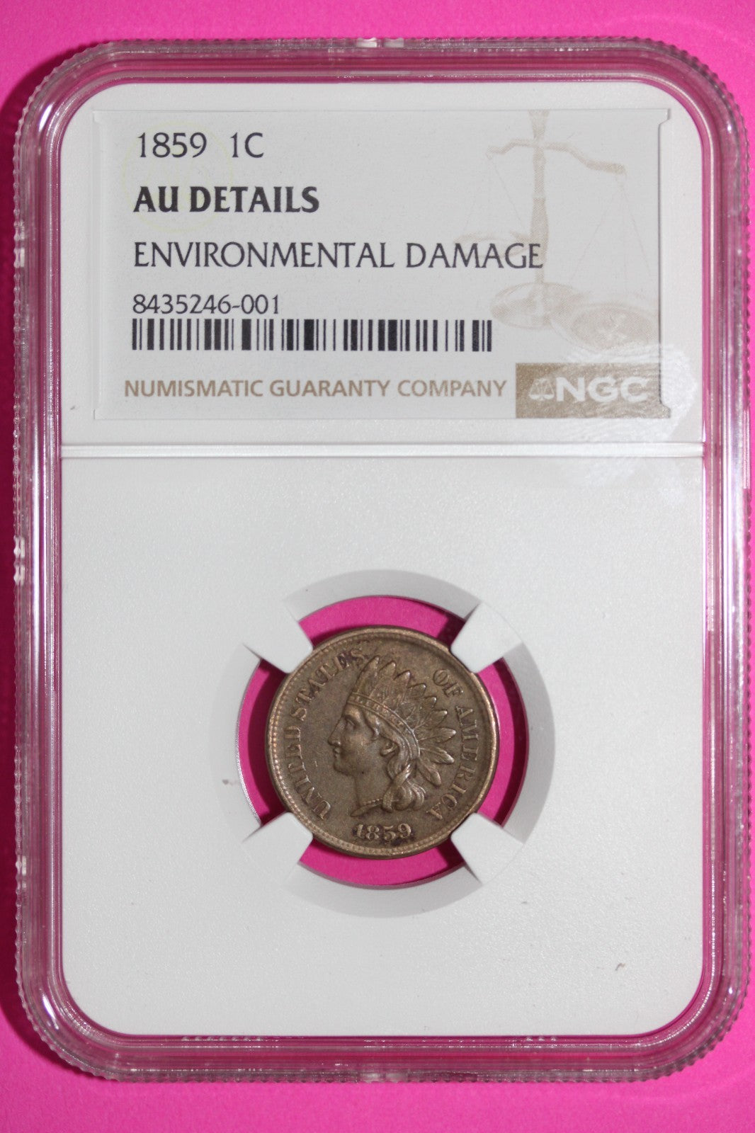 1859 Indian Head Cent Penny AU Details NGC Environmental Damage Certified 911