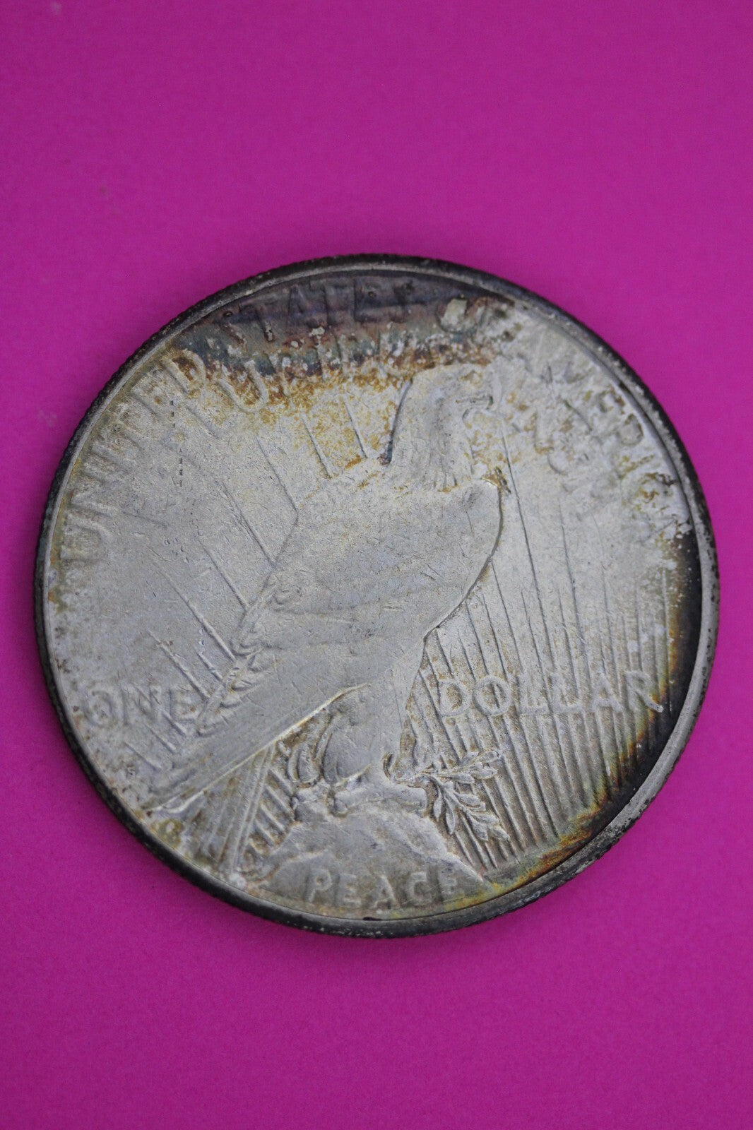 Toned 1925 S Peace Silver Dollar LIberty Coin Guaranteed Authentic 0333N