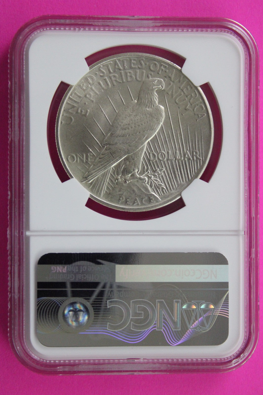 1925 P MS 63 Liberty Peace Silver Dollar NGC Certified Graded Authentic 737