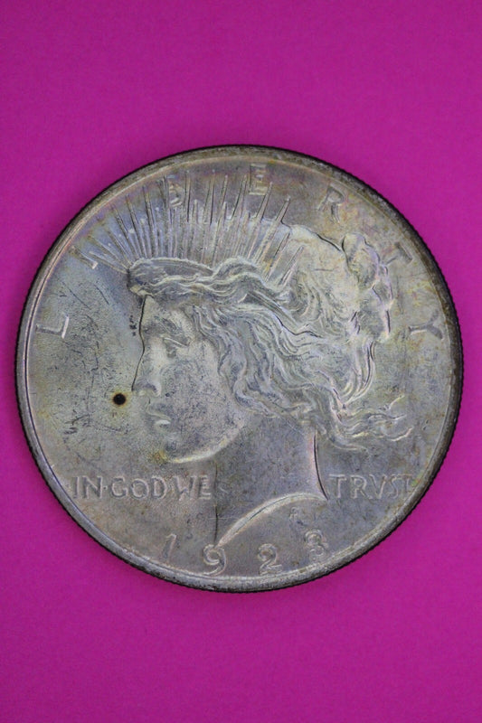 Toned High Grade 1923 P Liberty Peace Silver Dollar Philadelphia Mint Coin 232