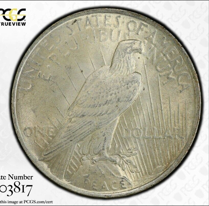 Toned 1923 P MS 62 Peace Silver Dollar PCGS Graded Certified Authentic Slab 74