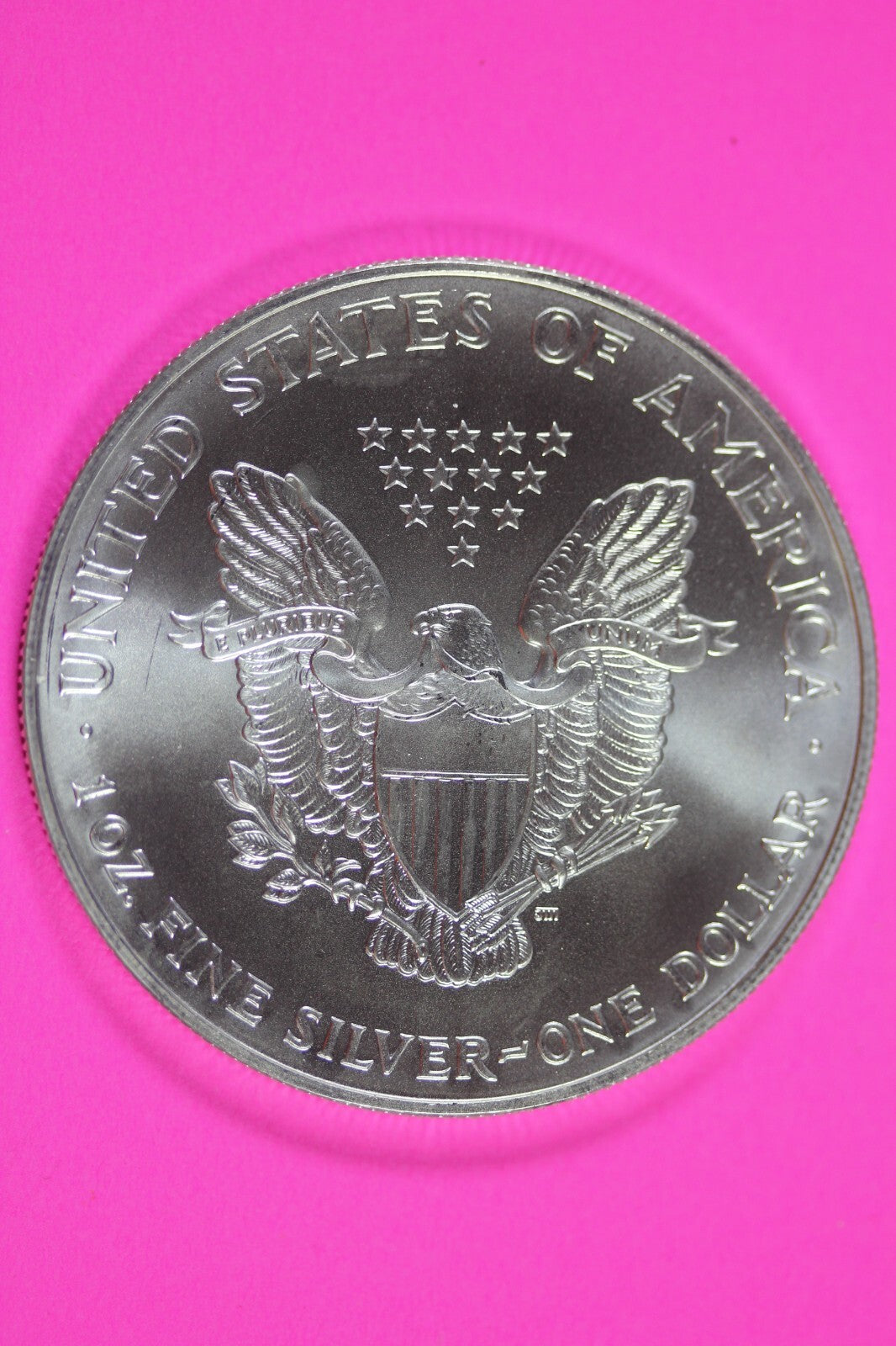 Colorized 1999 American Silver Eagle 1 Ounce .999 Fine Exact Coin Shown 176