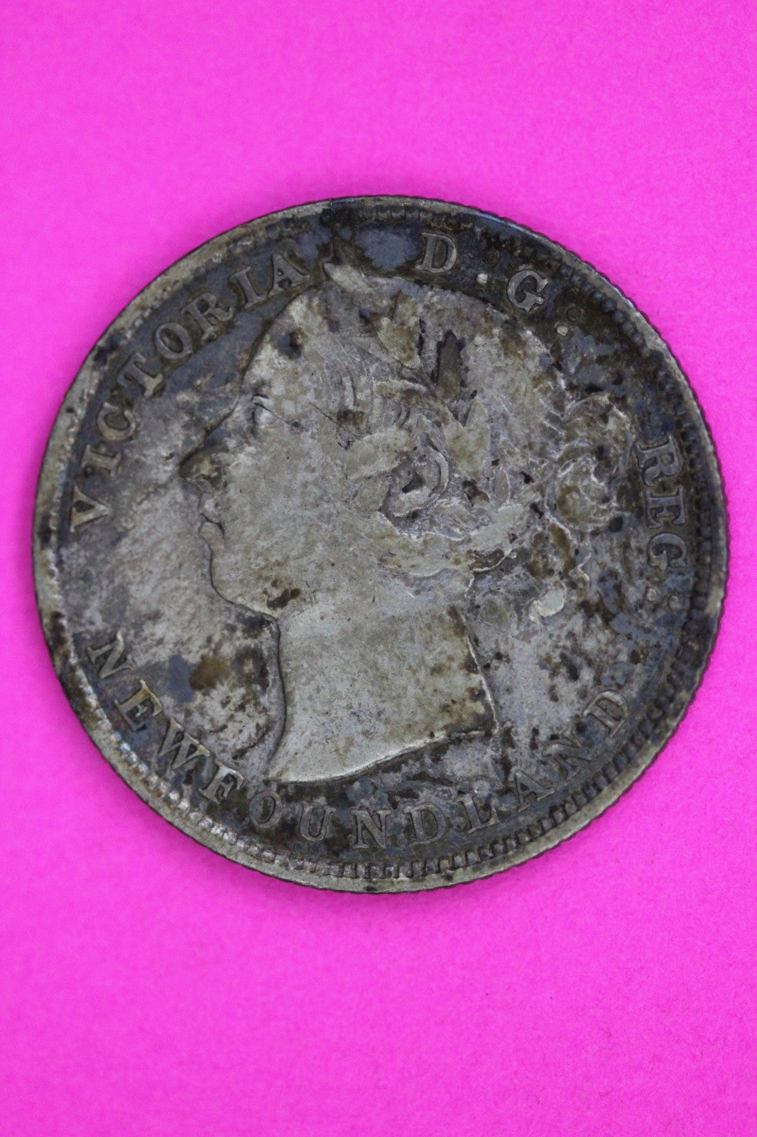 1888 Newfoundland Canada 20 TWENTY Cent Silver Coin Guaranteed Authentic 2244