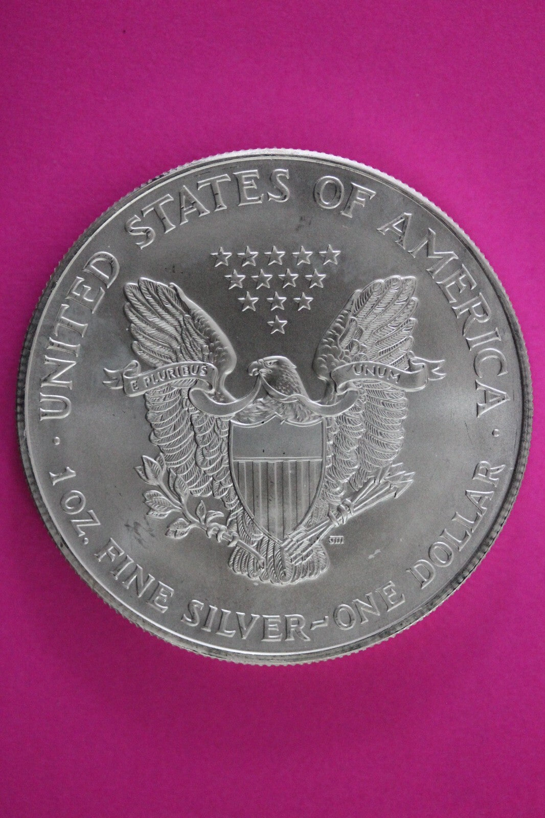 Colorized 1999 American Silver Eagle 1 Ounce .999 Fine Exact Coin Shown N0490