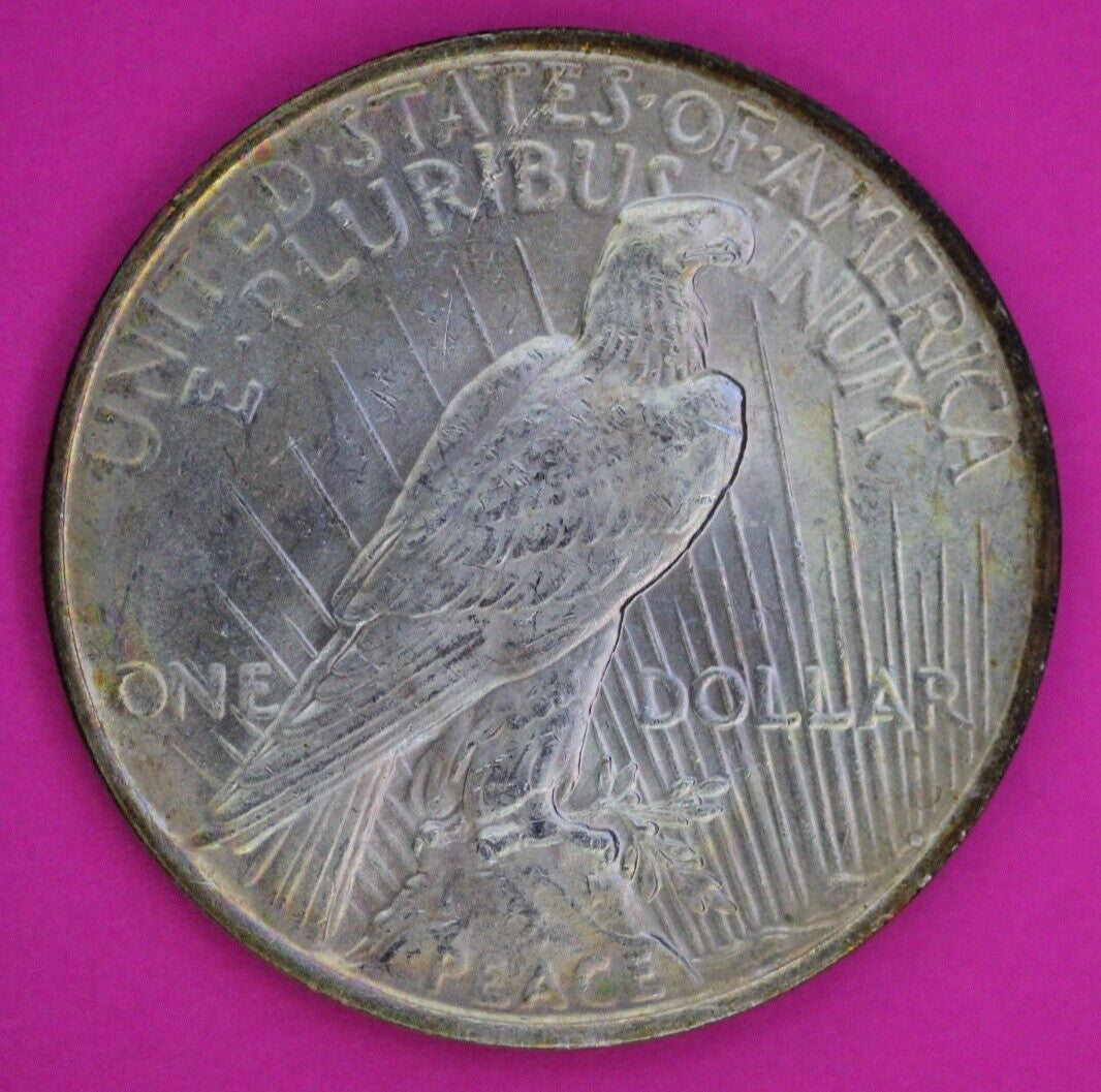 Tone High Grade 1923 P Liberty Peace Silver Dollar Philadelphia Mint Coin 246