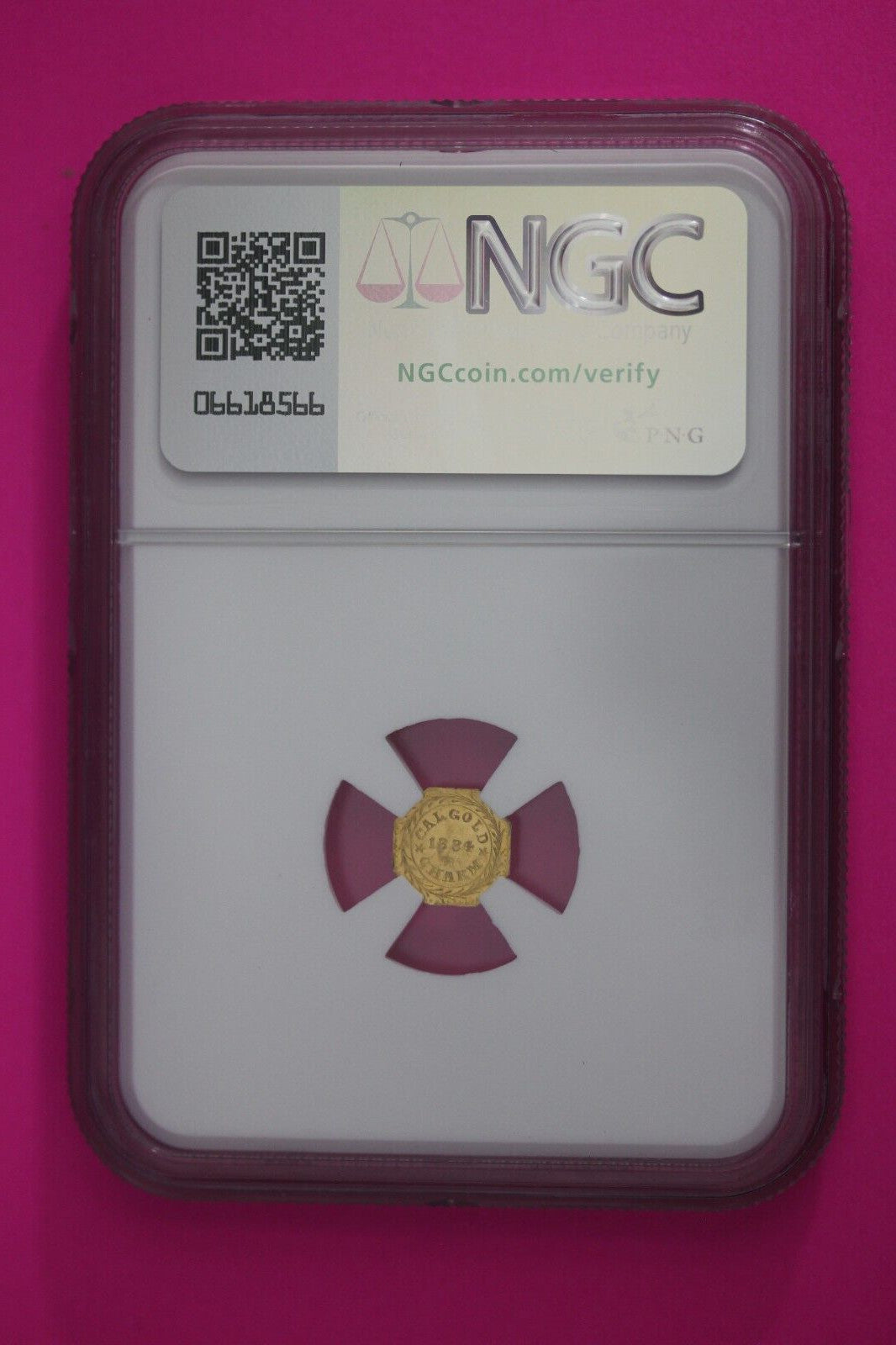 Proof Like 1884 California Gold Fractional Charm MS 63 PL Octagonal Rare NGC 361